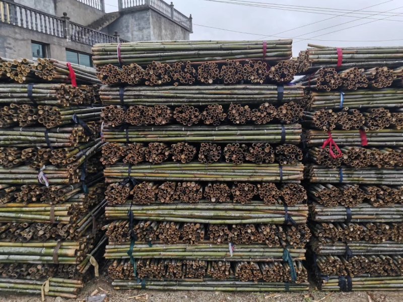 菜架竹架菜竹小竹杆山药竹架竿黄瓜西红柿架杆
