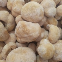古田精品猴头菇，货真价实，品种齐全