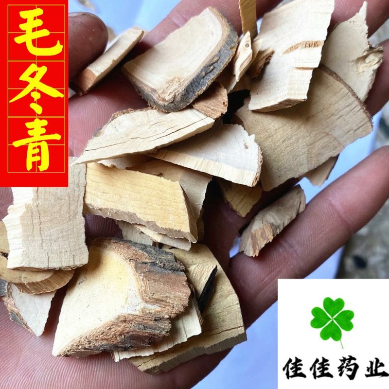 毛冬青新货颜色好供应各种中药材诚信
