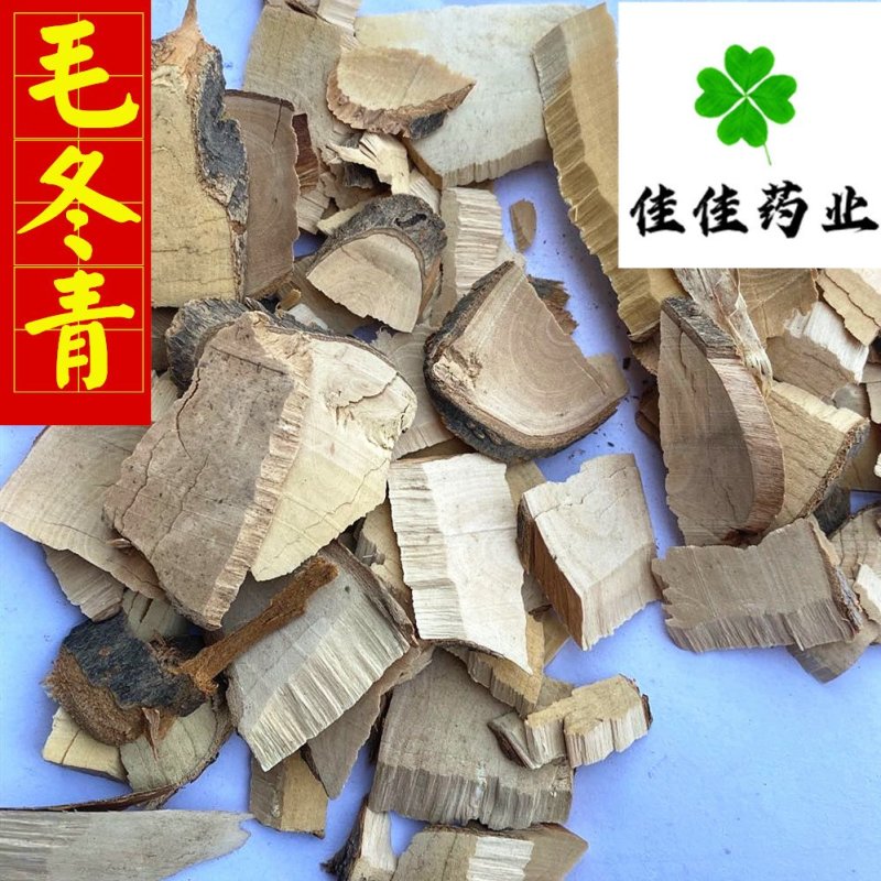 毛冬青新货颜色好供应各种中药材诚信