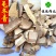毛冬青新货颜色好供应各种中药材诚信