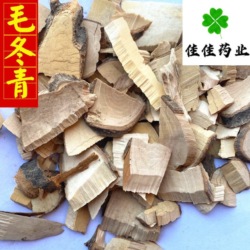 毛冬青新货颜色好供应各种中药材诚信