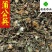 蒲公英干货野生公英新货颜色好供应大货