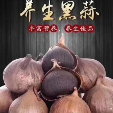 蒜头