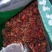 中药材山萸肉山茱萸枣皮山茱萸肉山芋肉中草药