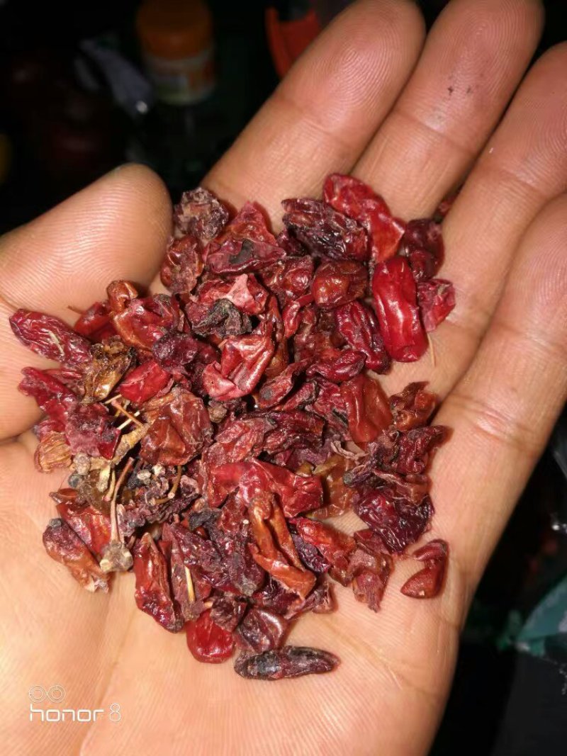 中药材山萸肉山茱萸枣皮山茱萸肉山芋肉中草药