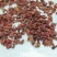 中药材山萸肉山茱萸枣皮山茱萸肉山芋肉中草药