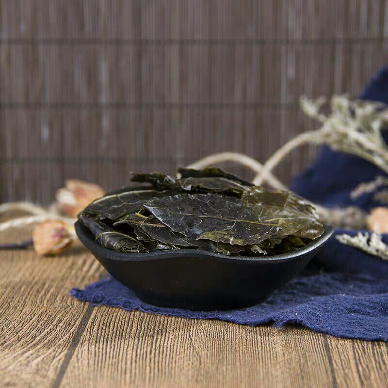 新鲜天然中药材云南大叶苦丁茶毛冬青茶苦甘叶