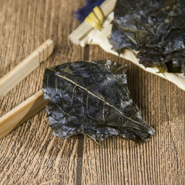 新鲜天然中药材云南大叶苦丁茶毛冬青茶苦甘叶