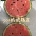2k小西瓜，礼品小西瓜免费装车，食宿免费