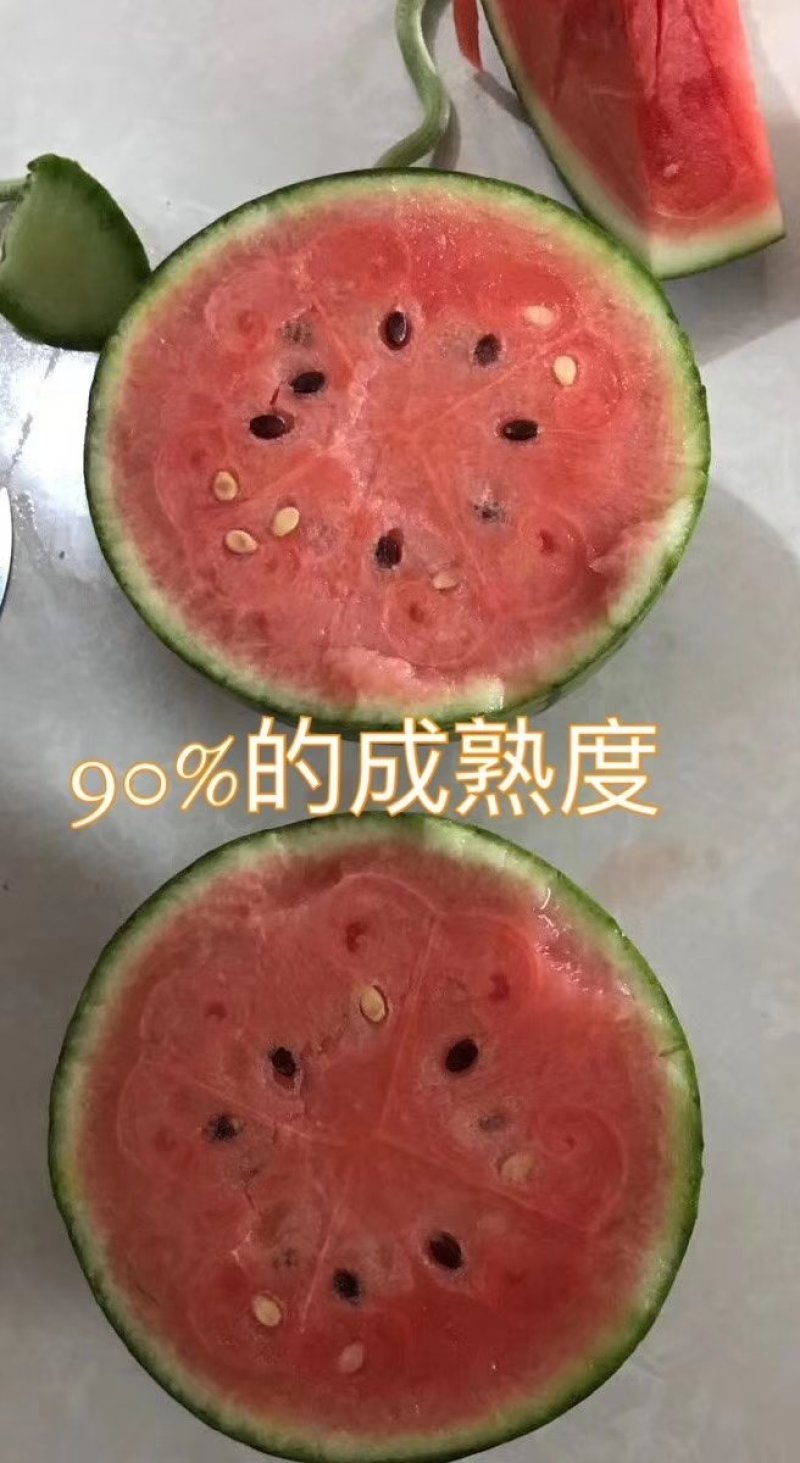 2k小西瓜，礼品小西瓜免费装车，食宿免费