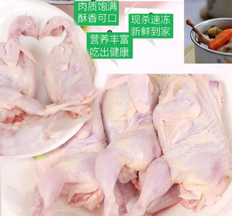 鹌鹑鸟现杀现发货每个净重130克左右