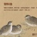 鹌鹑鸟现杀现发货每个净重130克左右