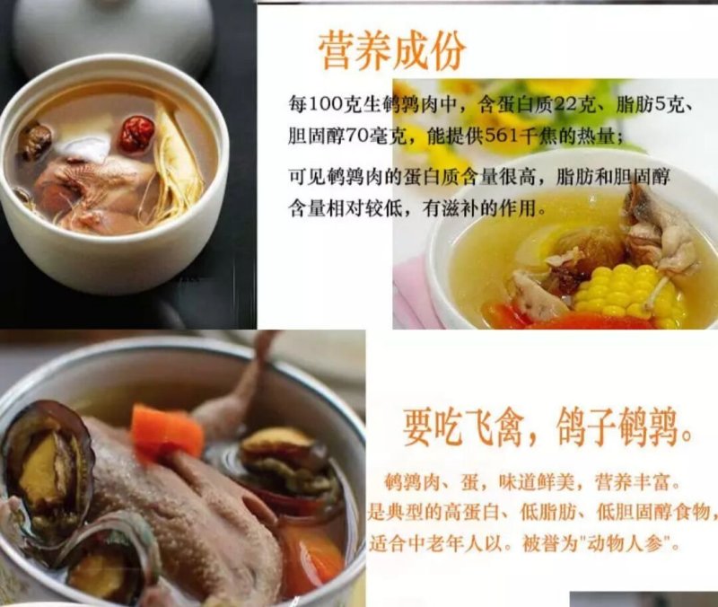 鹌鹑鸟现杀现发货每个净重130克左右