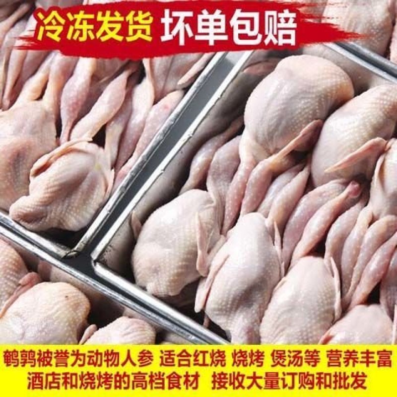 鹌鹑鸟现杀现发货每个净重130克左右