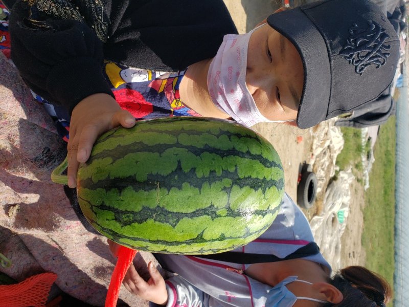 2k西瓜，皮薄肉厚，糖度高，耐运输，免费装车