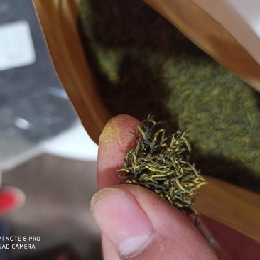 杜仲雄花批发正品保障专业经营品质保证