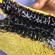 米团花野生黑蜂蜜常年可以供应