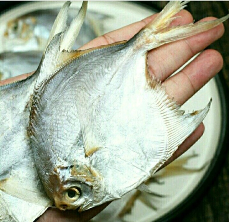 银鲳鱼干海鲜干货自然晒干美味爽口（干货包邮）