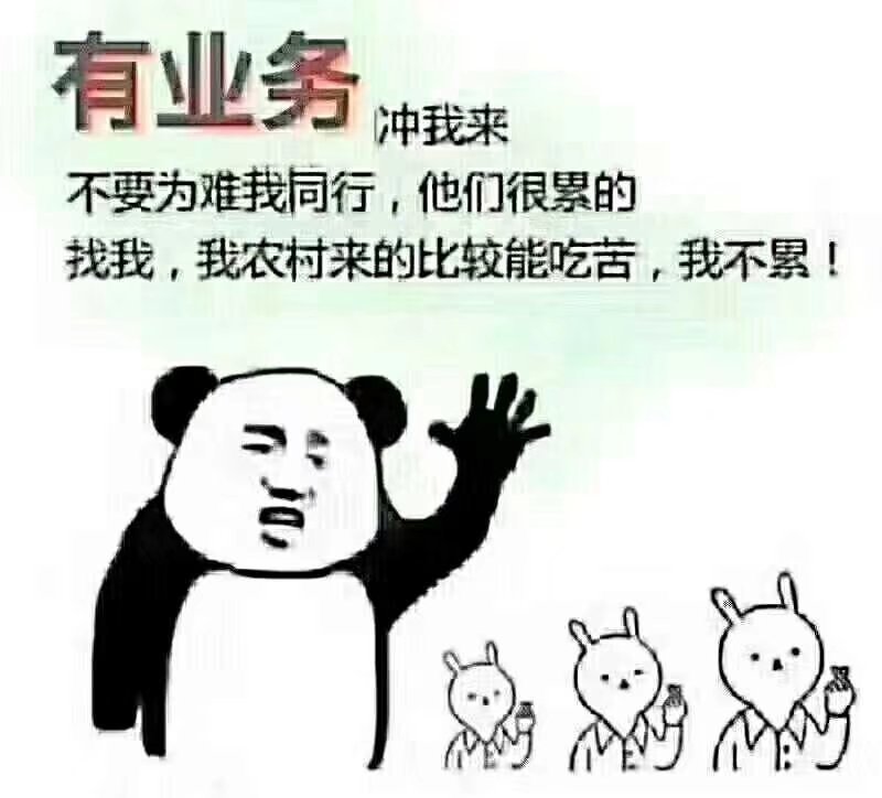 大量提供苦竹货源