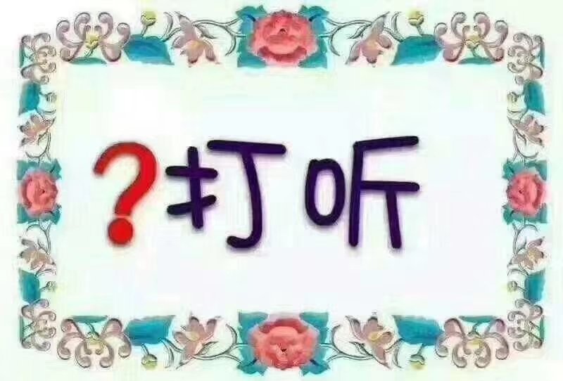 大量提供苦竹货源