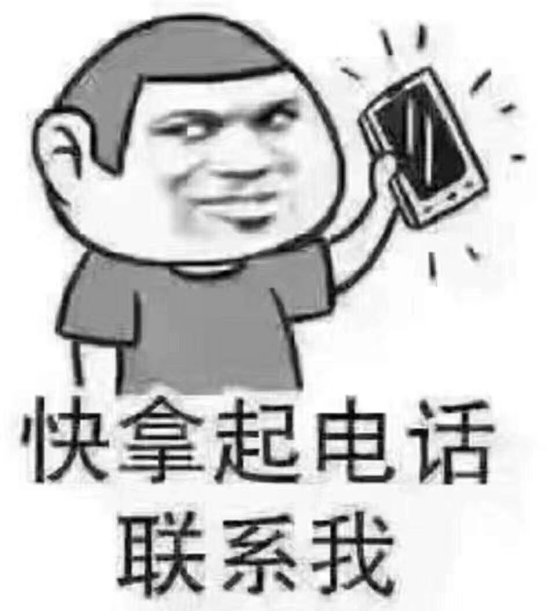 大量提供苦竹货源
