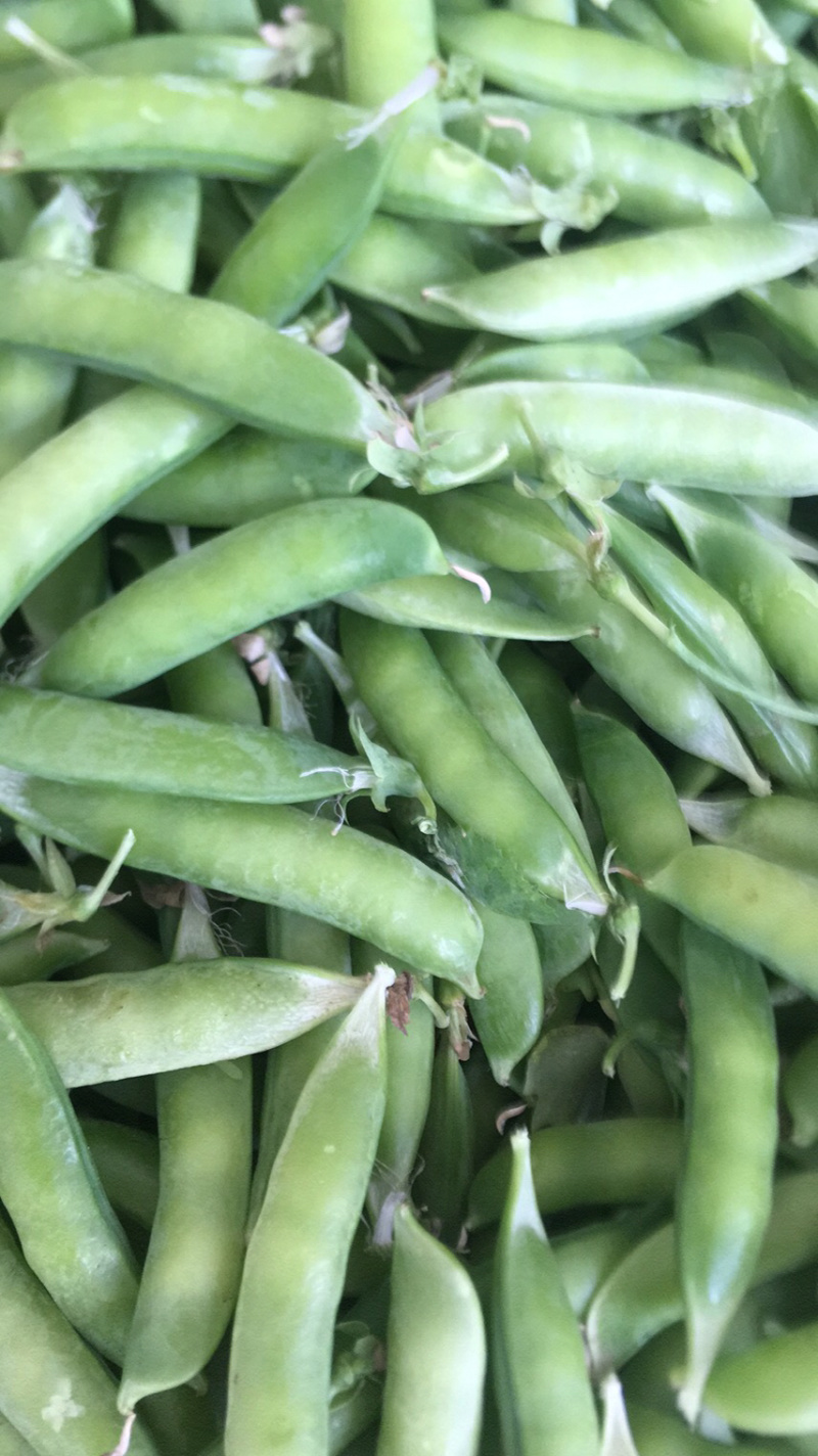 豌豆荚豌豆甜豌豆干豌豆籽籽颗粒饱满支持代发