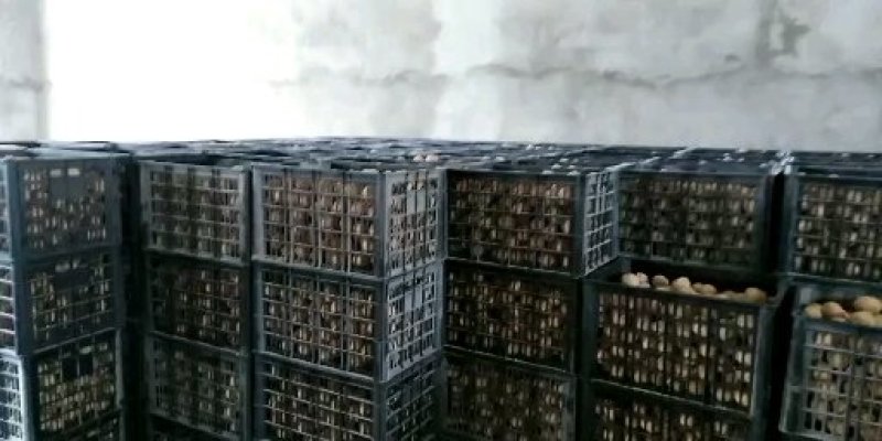 【陈老汉皮蛋】陈老汉，四十年，我们用心做皮蛋