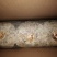 湖北香菇菌棒,货源充足,春栽,秋栽冬收品质保证欢迎咨询