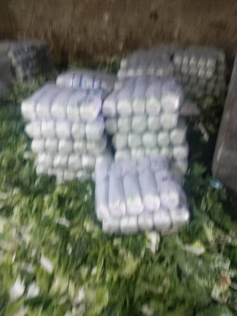玲珑白菜黄心白菜张家口玲珑黄白菜