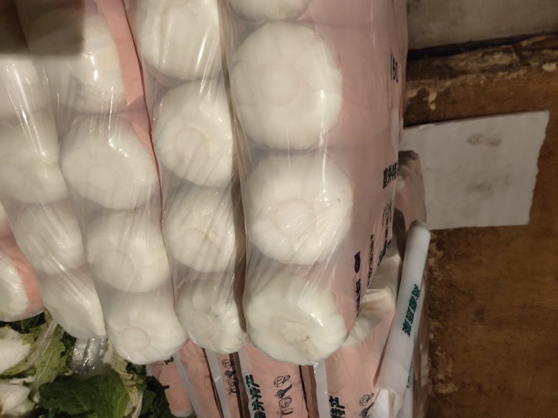 玲珑白菜黄心白菜张家口玲珑黄白菜