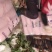 玲珑白菜黄心白菜张家口玲珑黄白菜