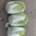 玲珑白菜黄心白菜张家口玲珑黄白菜