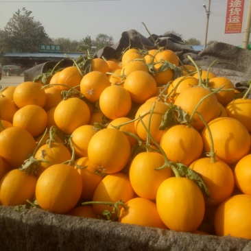 瑞红