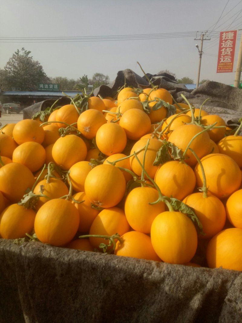 瑞红