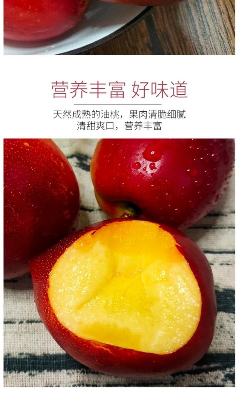 山东油桃大棚4号油桃现摘现发