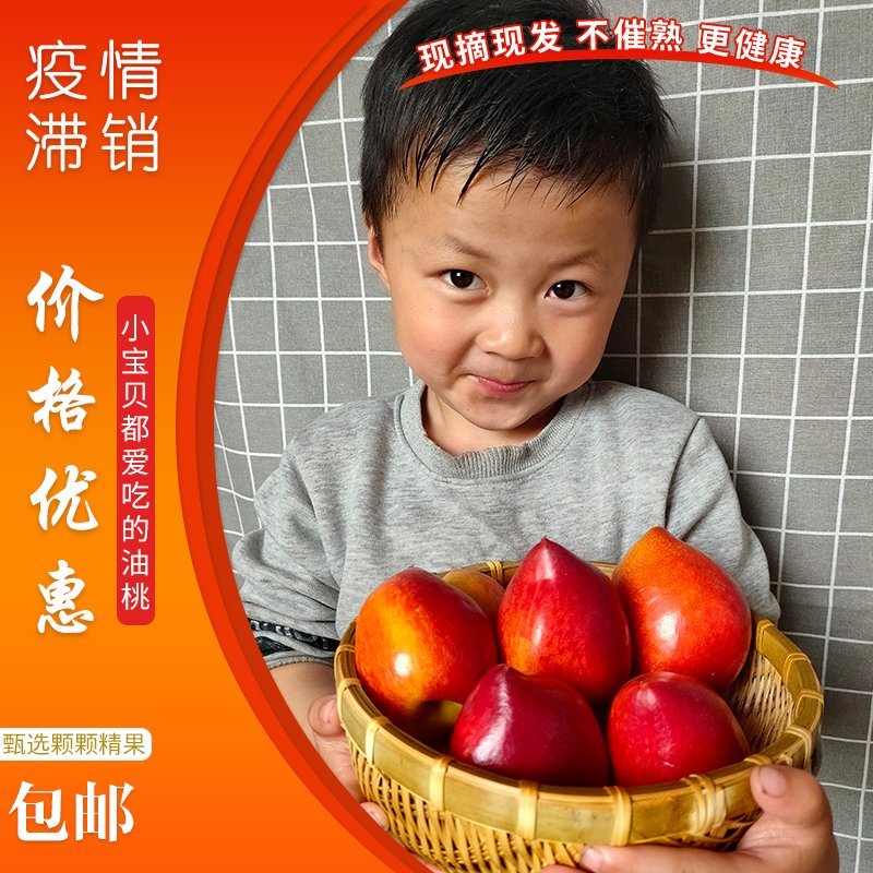 山东油桃大棚4号油桃现摘现发