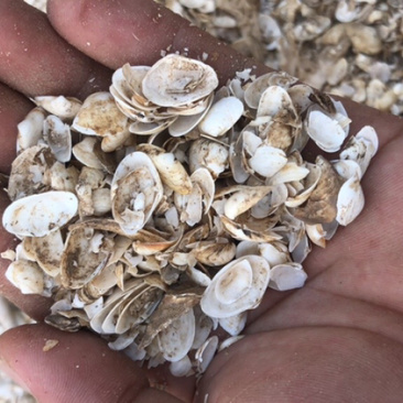 鹅混饲料养鹅的朋友需要的可以联系我