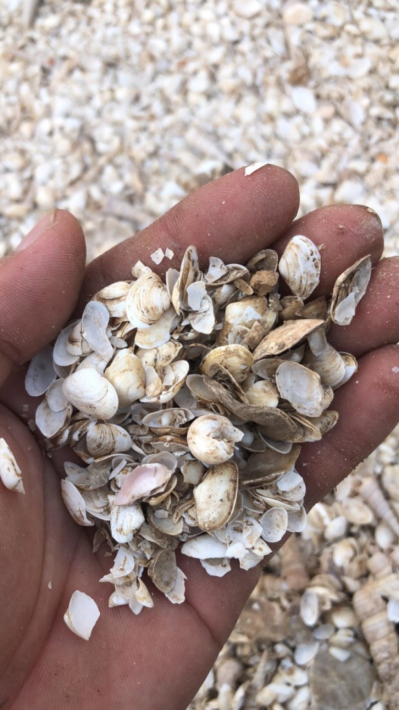 鹅混饲料养鹅的朋友需要的可以联系我