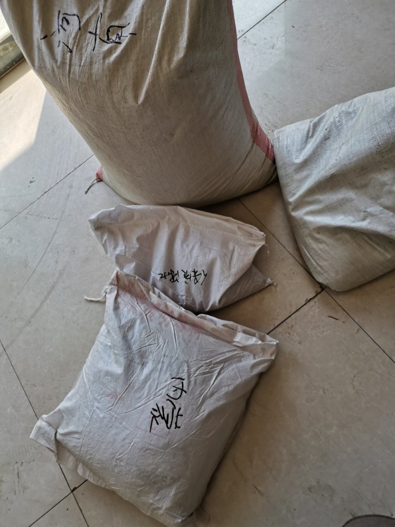 苜蓿种子优质苜蓿种子河北批发。绿化种植喂牛羊好饲料。