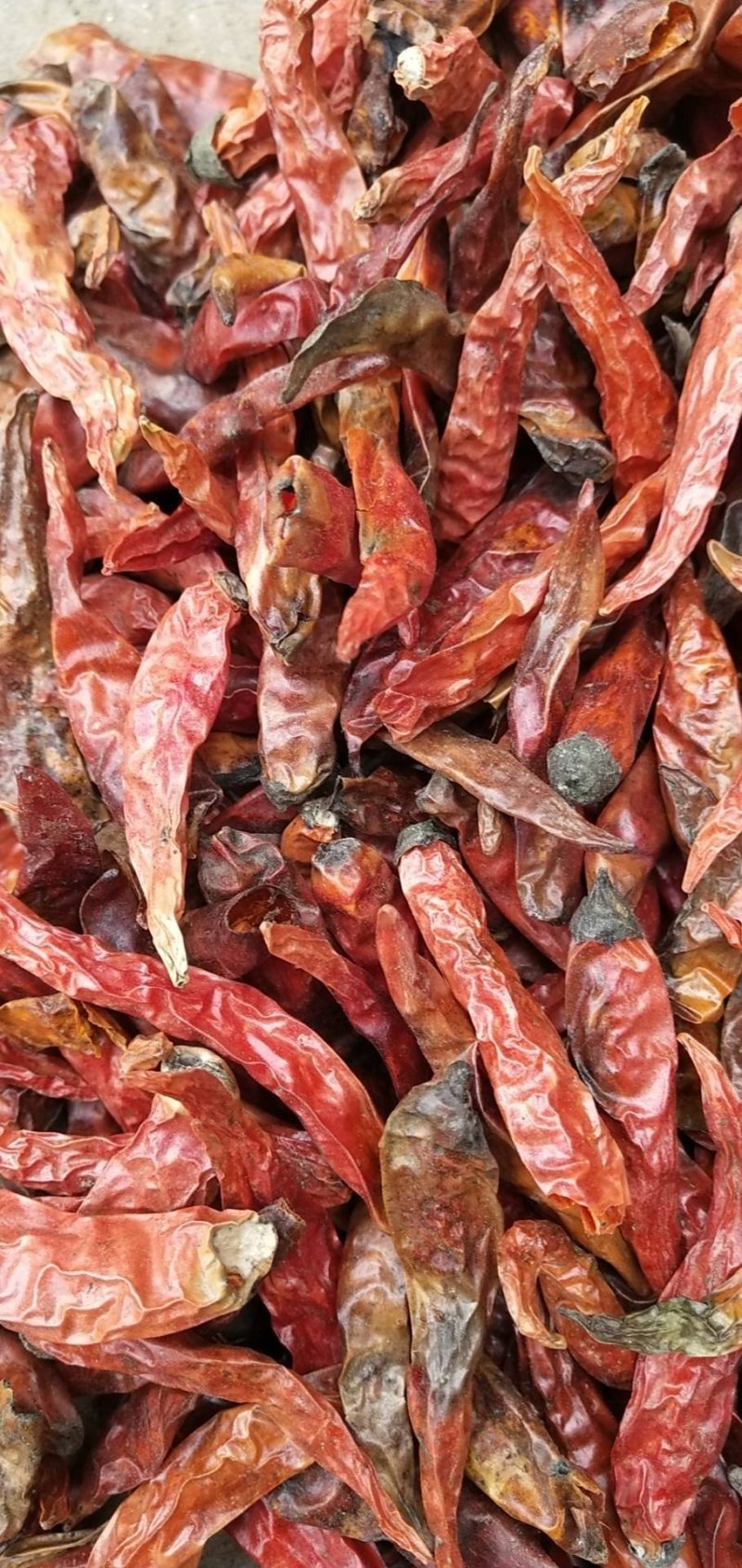 辣椒