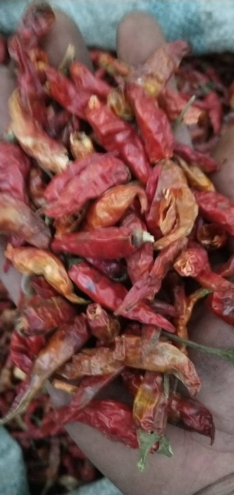 辣椒