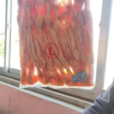 L鸭掌