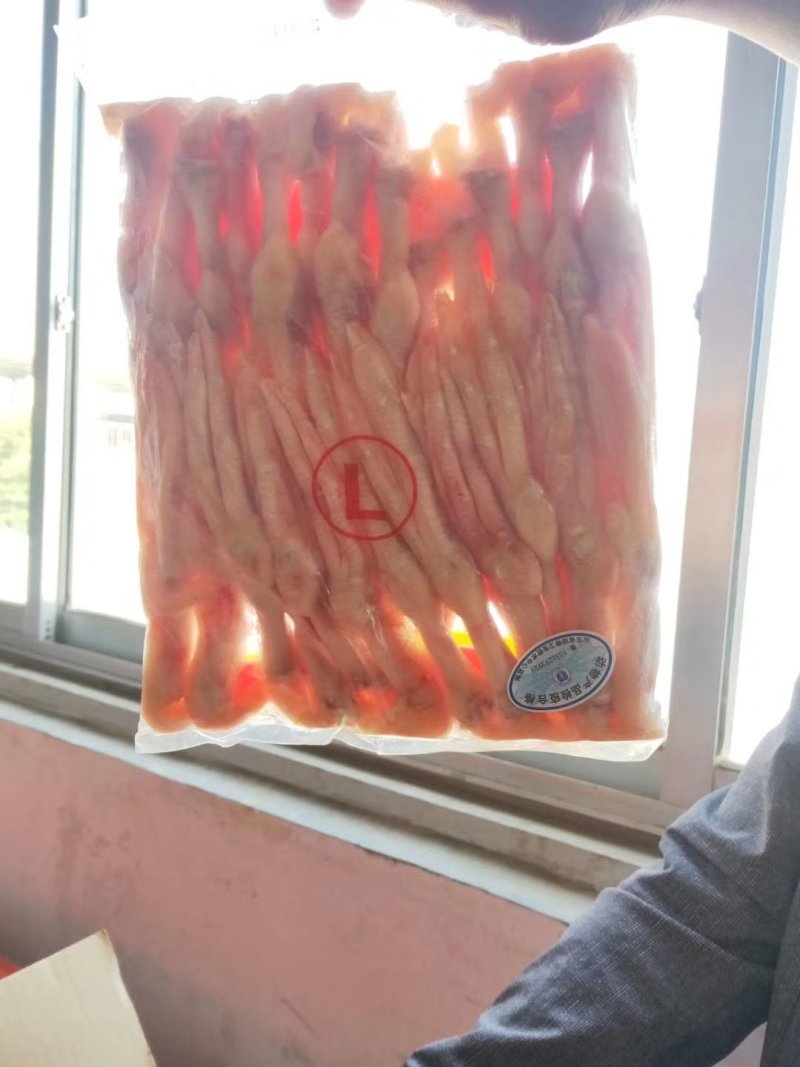 L鸭掌