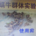 蜗牛药四聚乙醛粉剂，叶面喷施更省力。