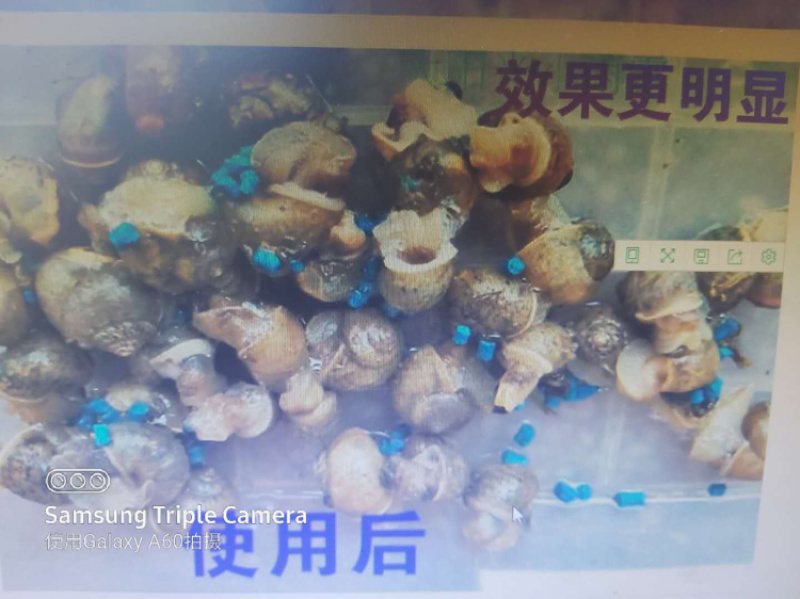 蜗牛药四聚乙醛粉剂，叶面喷施更省力。