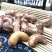 【支持一件代发】越南带衣盐焗腰果，大颗粒，入口香脆