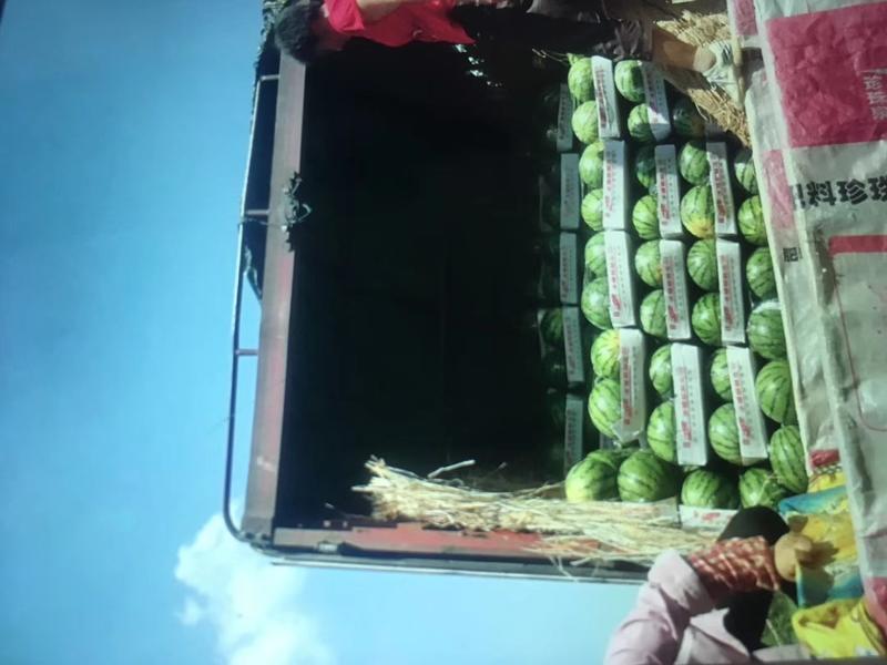 美都西瓜大红瓤薄皮精品产地直发全国发货