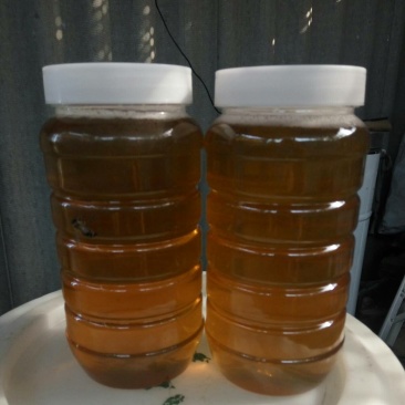 龙眼花蜜，原生态的龙眼蜜。原产地直发，量大从优
