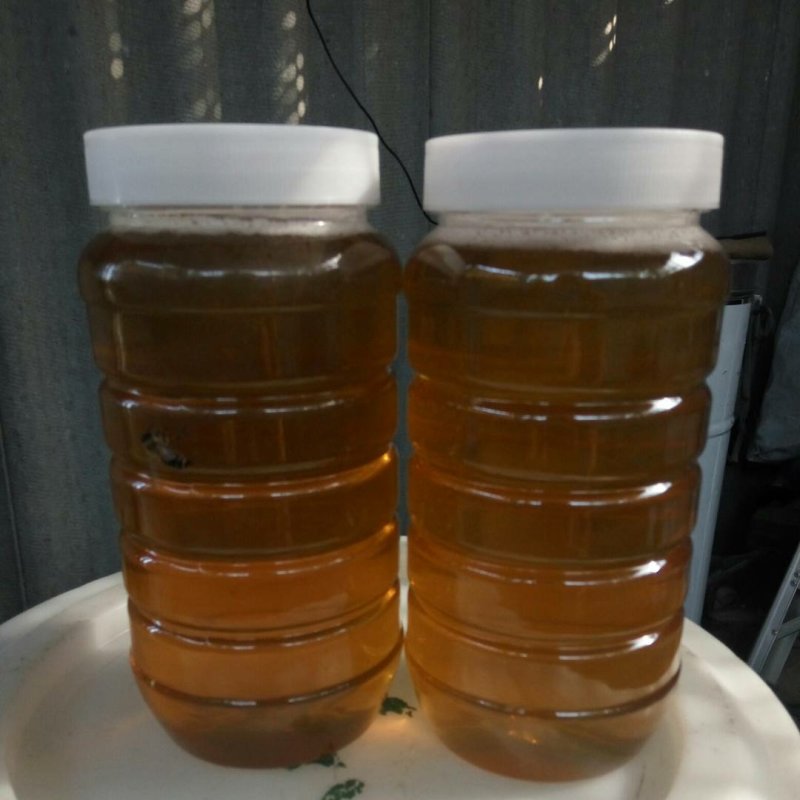 龙眼花蜜，原生态的龙眼蜜。原产地直发，量大从优